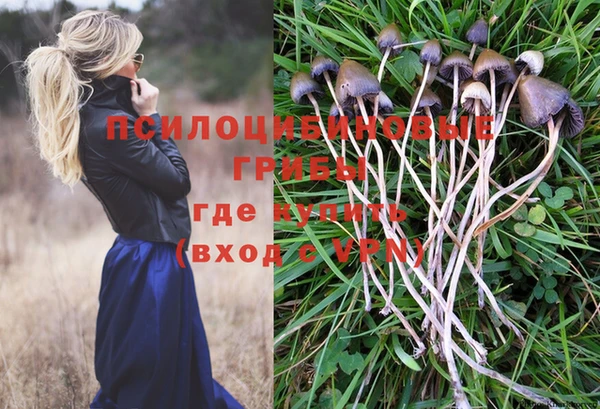 герыч Алексеевка