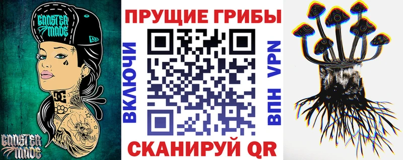 наркотики  Мещовск  Галлюциногенные грибы Psilocybe 